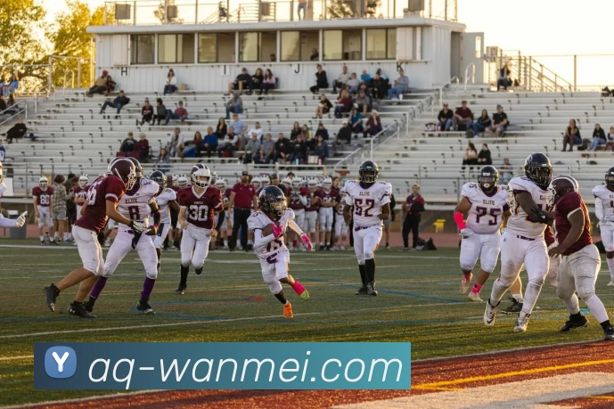 App Interface Preview